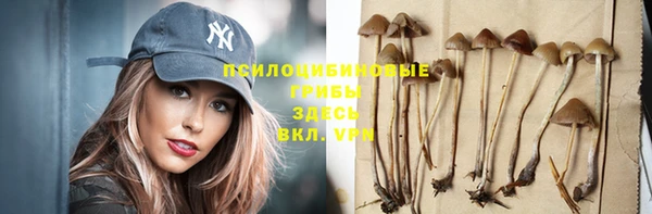 дурь Пересвет