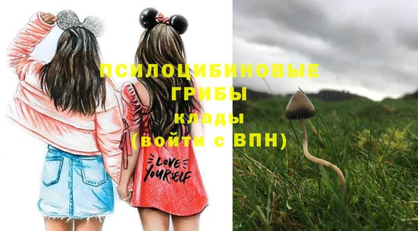 дурь Пересвет