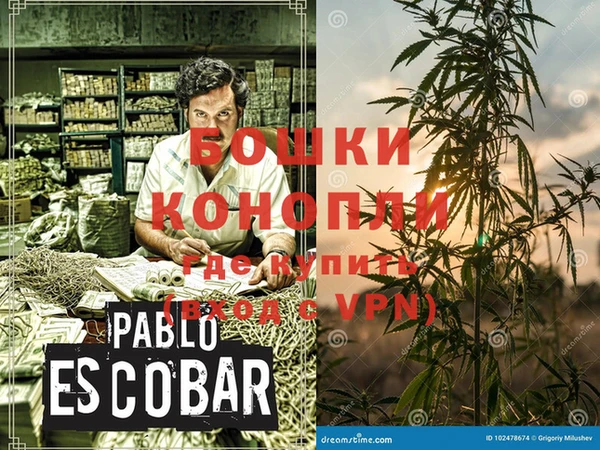 дурь Пересвет