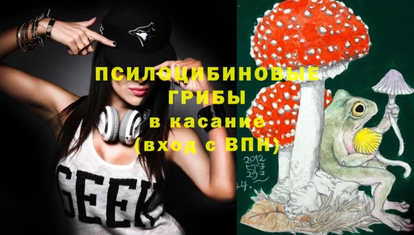 дурь Пересвет