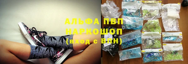 дурь Пересвет