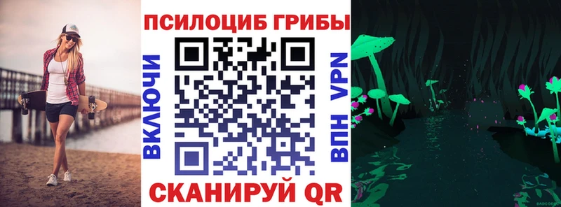 OMG зеркало  Баймак  Псилоцибиновые грибы Psilocybe 